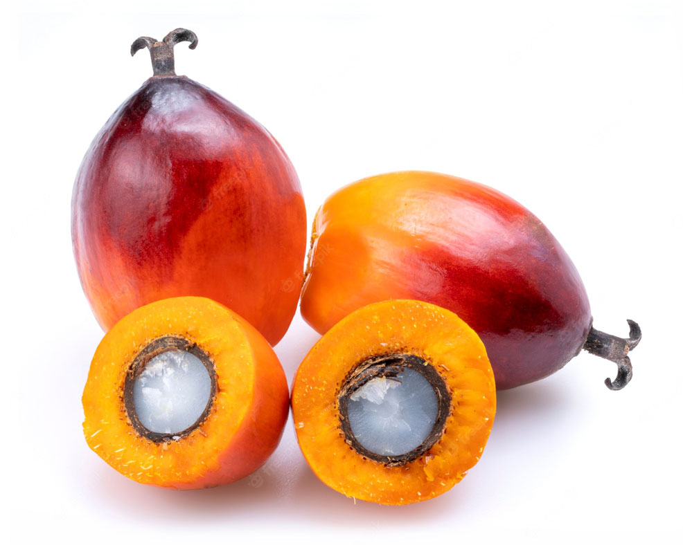 mbiofarmers