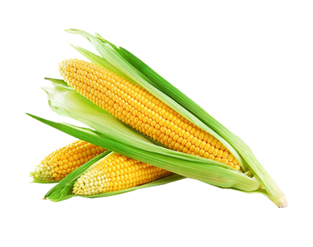 mbiofarmers