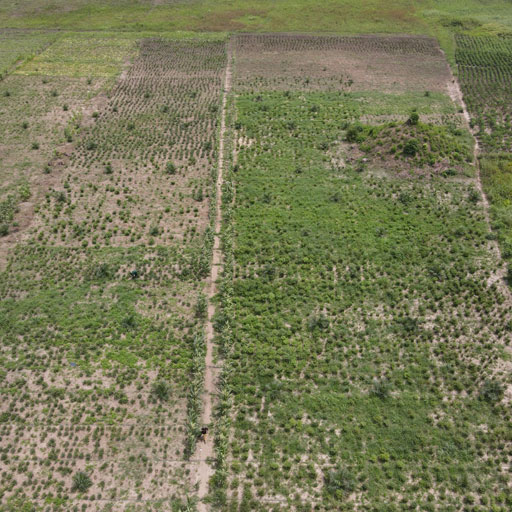 Mbiofarmers