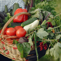 Mbiofarmers